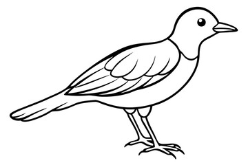illustration of a bird icon vector line art