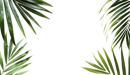 Tropical green leaves frame border