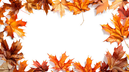 Fototapeta premium Blank white background autumn leaves frame, wallpaper