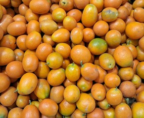 Kinkan, cítrico também conecida como Laranja de Ouro, origem chinesa