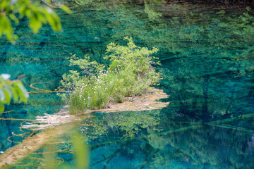 green forest river, Jiuzhaigou Valley Scenic, Sichuan, China