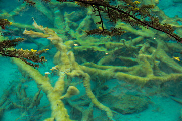 Fototapeta premium abstract watercolor background with space for text