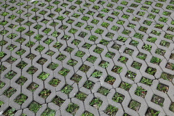 Environmental friendly parking lot with holes for rainwater  © Douglas