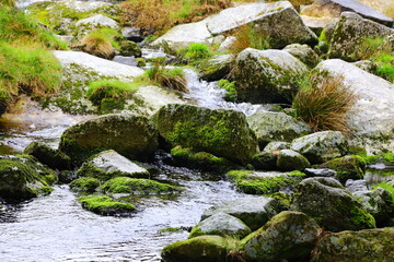 River of moss covered rocks