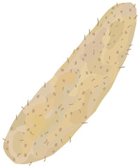 シンプルな長芋のイラスト ベクター素材