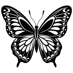 butterfly vector silhouette illustration and svg 