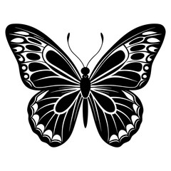 butterfly vector silhouette illustration and svg 