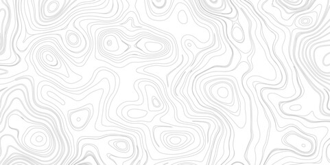 Fototapeta premium Topographic map. Contour abstract background. Vector illustration.