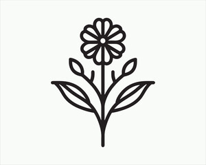 illustration of a flower