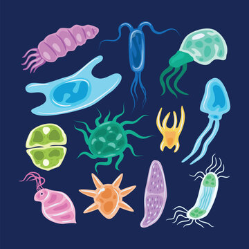 Set of planton collection, Isolated cartoon set icon phytoplankton, zooplankton sea microorganisms multicolored types of planktons, isolated on black background, vector illustration.