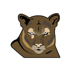 Tiger Head illustration PNG