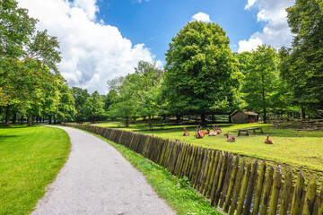 the Koekamp, ​​a deer park historically part of the Haagse Bos located in The Hague, Netherlands