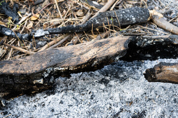 wood burns to ash