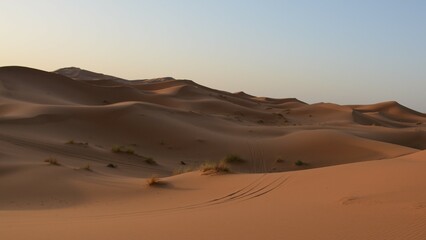 View of the desert at sunrise