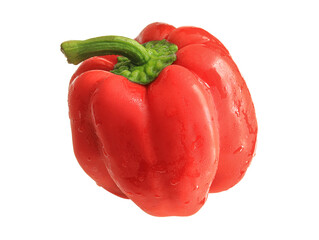 Close-up of a colored pepper on a white background