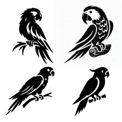 Parrot  Perching silhouette isolated on white background