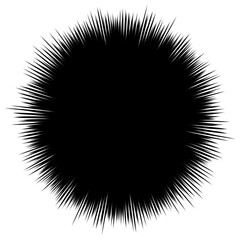 べたフラッシュ（black)