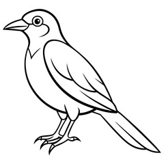 illustration of a bird vector line art