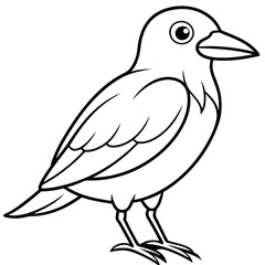 illustration of a bird vector line art