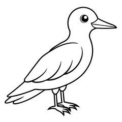 illustration of a bird vector line art