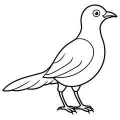 illustration of a bird vector line art