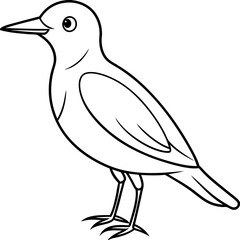 illustration of a bird vector line art