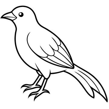 recommend clip art: illustration of a bird vector line art
