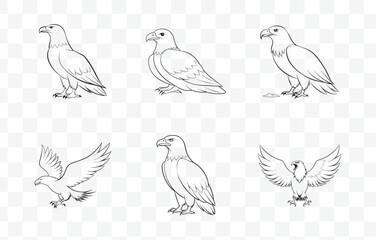 Print Exquisite Collection of Detailed Eagle Line Art Vector Illustrations for Creative Design and Artistic Projects