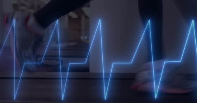 Image of cardiograph over sports people exercising