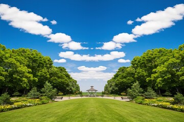Obraz premium beautiful green park with clear blue sky