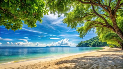 Tranquil summer beach scene with lush trees overlooking the sea, tropical, relaxation, vacation, paradise, coastline, palm trees