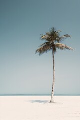 minimalist background with a lone coconut tree on white sand beach, symbolizing solitude and simplicity