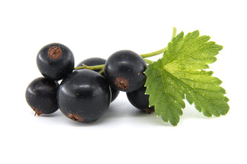 Fresh black currants with green leaves isolated on a white background