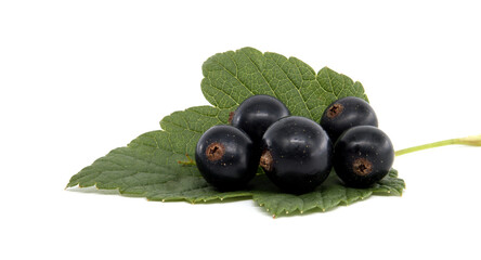 Fresh black currants with green leaves isolated on a white background