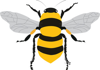 A vector art of a bee.