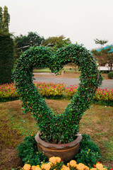 Cutting plants into heart shapes to decorate the garden.