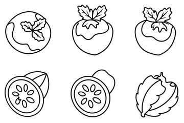 Kohlrabi Slice Line Art Design