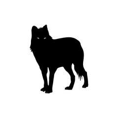 Wolf standing silhouette or vector on white background 