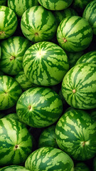 Fresh and delicious looking watermelon