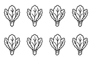 Swiss Chard Slice Line Art Delicate Leaves Rendered with Precision