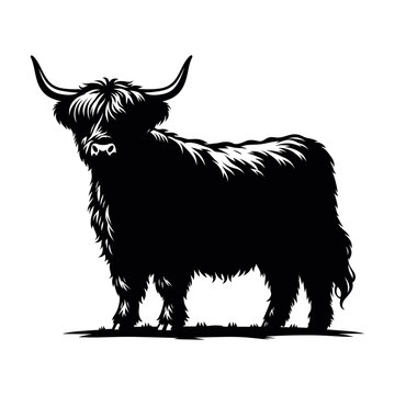 recommend clip art: highland cow silhouette vector