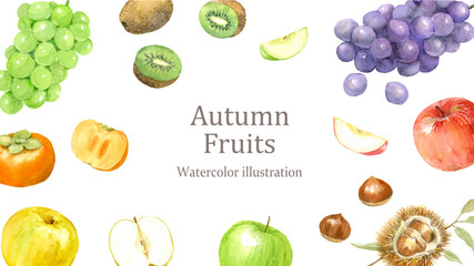 水彩で描いた秋のフルーツのフレーム
