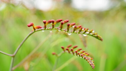 It feels like Autumn is coming. I love Autumn.