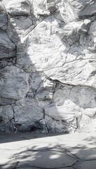 White stone wall with shadows of trees. 3D rendering. Abstract background for product presentation and mock up.