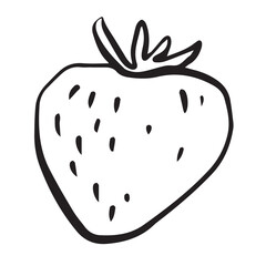 Strawberry sketch Hand drawn doodle vector illustration isolated on white background. Berry icon for logotype, poster, flyer, banner, menu, cookbook, infographic design.