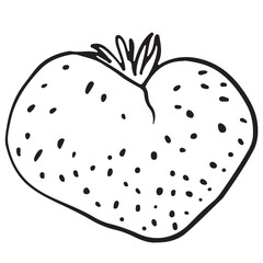 Strawberry heart shape sketch Hand drawn doodle vector illustration isolated on white background. Berry icon for logotype, poster, flyer, banner, menu, cookbook, infographic design.