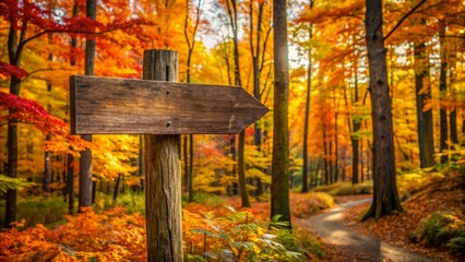 A rustic wooden directional sign protrudes from a majestic tree trunk amidst vibrant autumn foliage in a serene forest landscape.