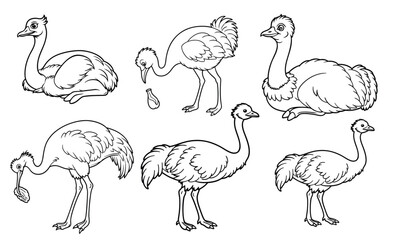 ostrich drawing using only lines, line art to color and paint. Children's drawings.