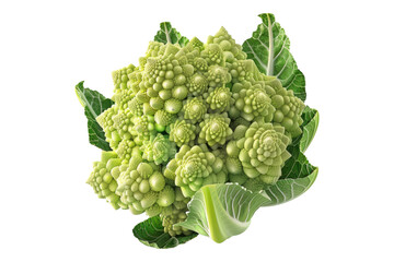 Romanesco isolated on transparent background