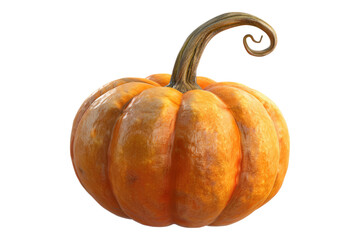 Single mini pumpkin isolated on transparent background
